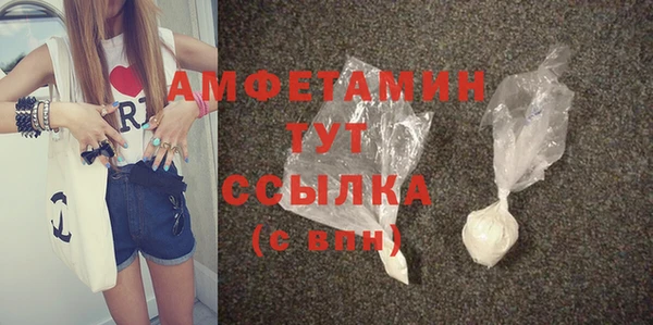 молекула духа Горняк