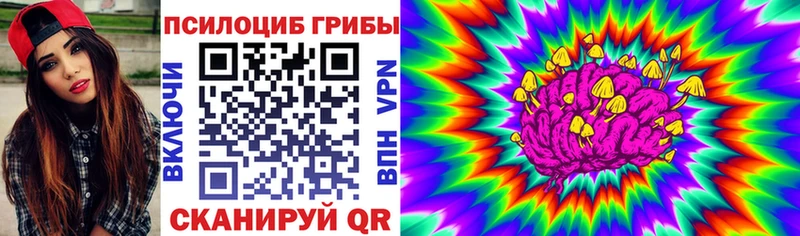 Купить где  Олёкминск  Псилоцибиновые грибы мицелий 